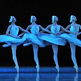 Summertime Ballet at NOVAT - NOVAT - photo 4
